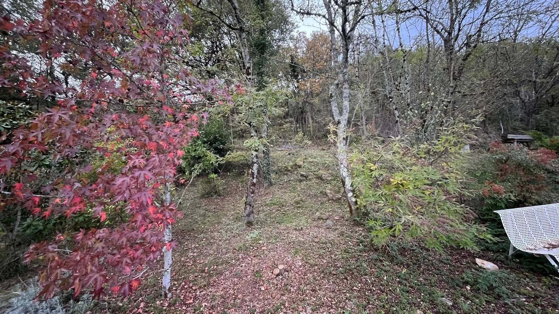 Maison De Charme Avec Vue Exceptionnelle Monteils  France